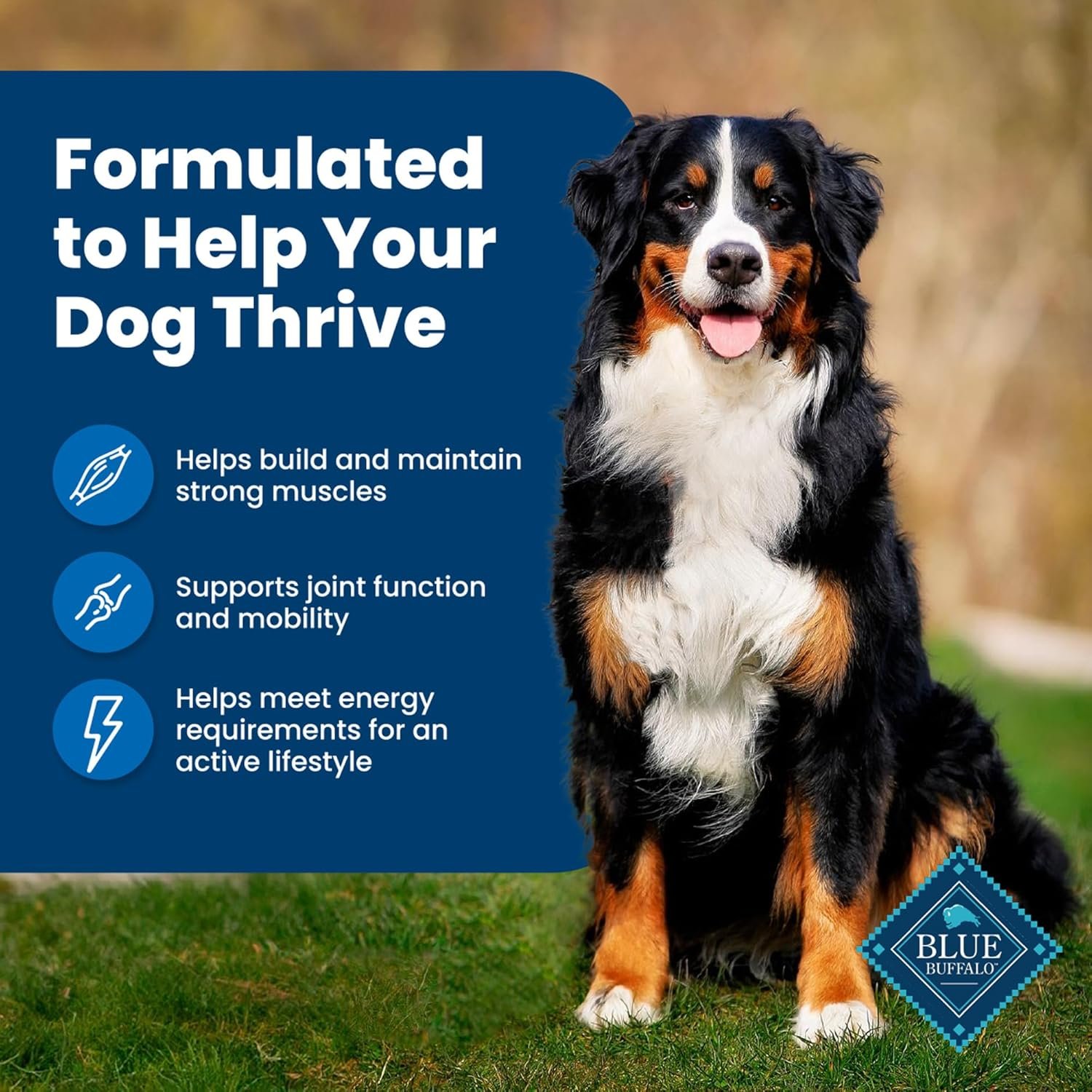 1727570927 832 Blue Buffalo Life Protection Formula Adult Dry Dog Food –