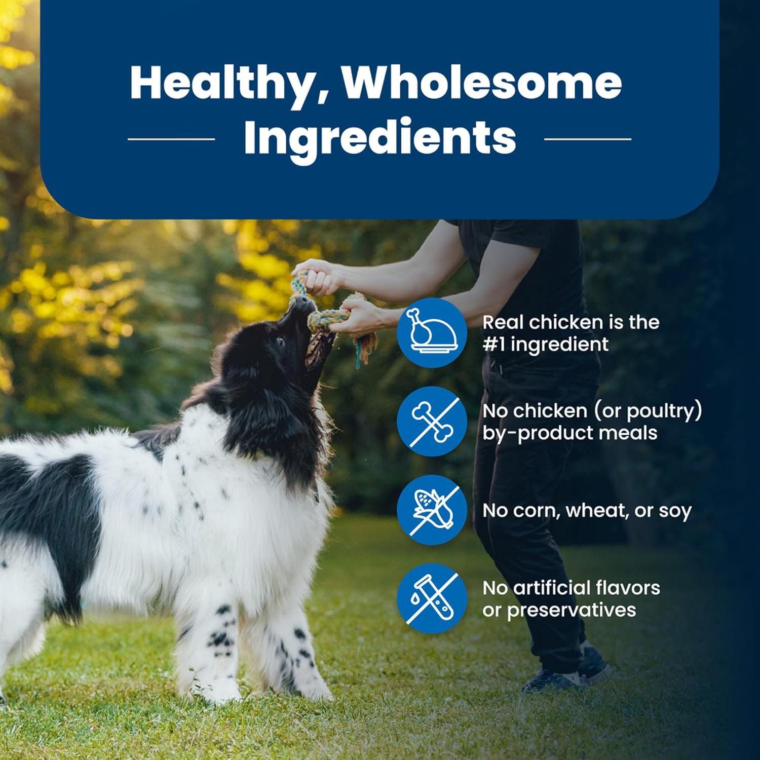 1727570927 87 Blue Buffalo Life Protection Formula Adult Dry Dog Food –
