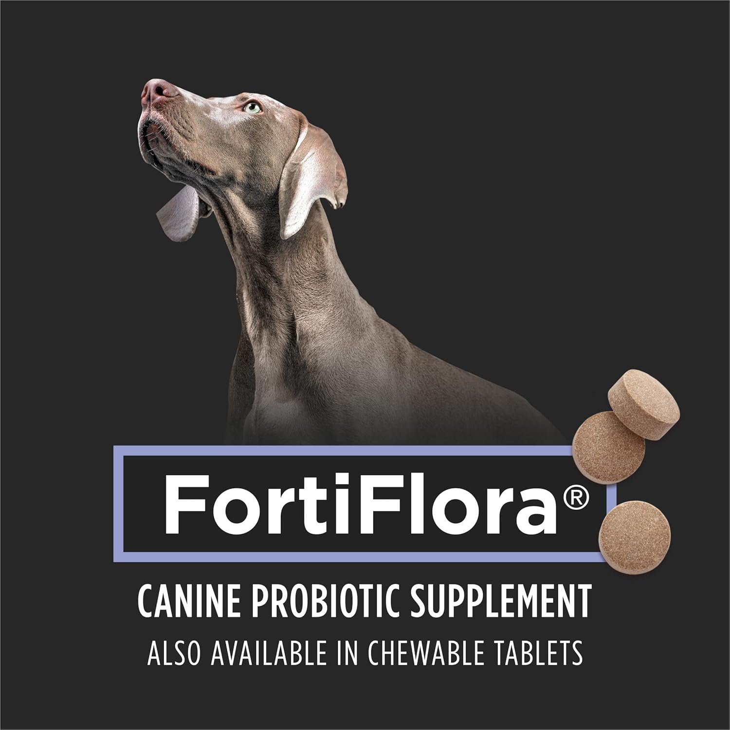 1727578210 683 Purina Pro Plan Veterinary Supplements FortiFlora Probiotic for Dogs
