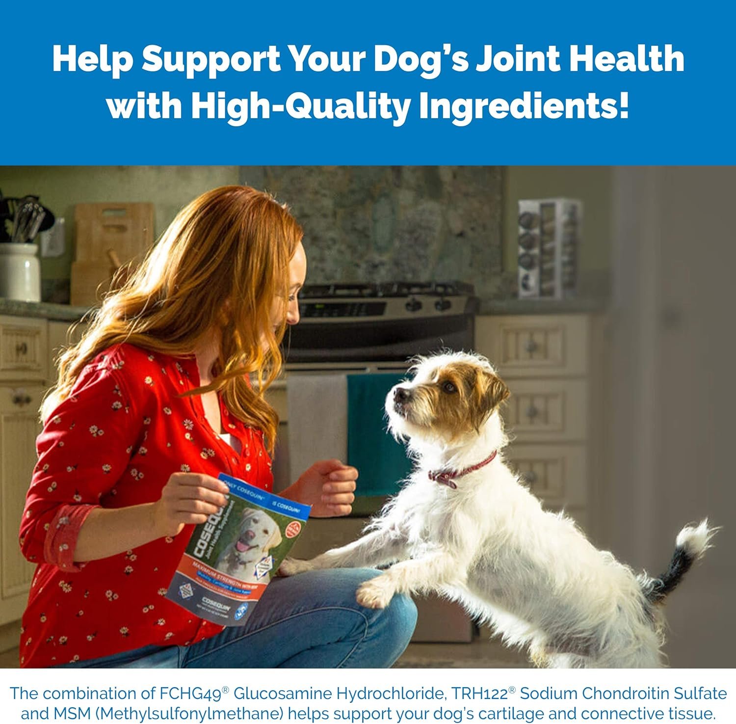 1727620783 769 Cosequin Maximum Strength Joint Health Supplement for Dogs by