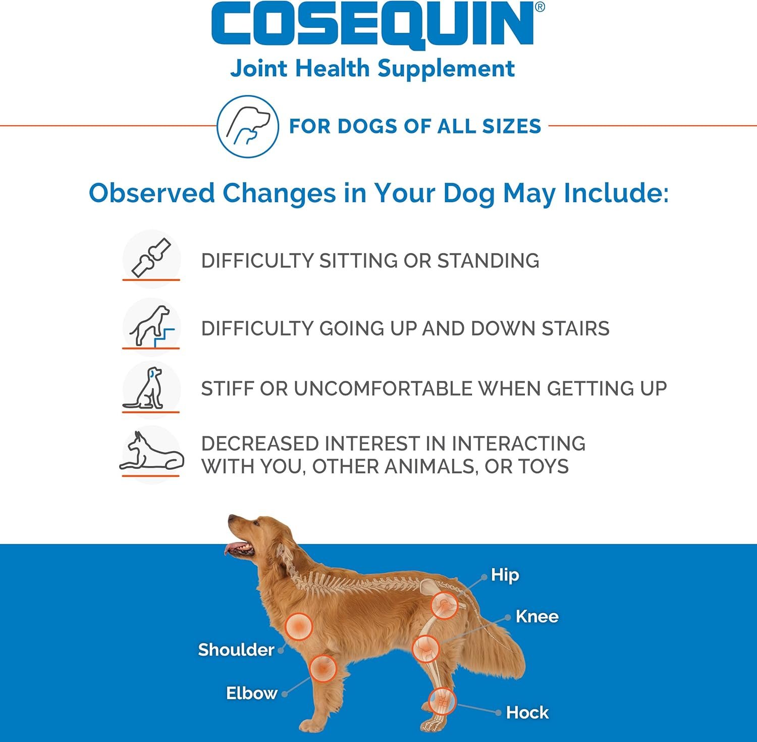 1727620783 819 Cosequin Maximum Strength Joint Health Supplement for Dogs by