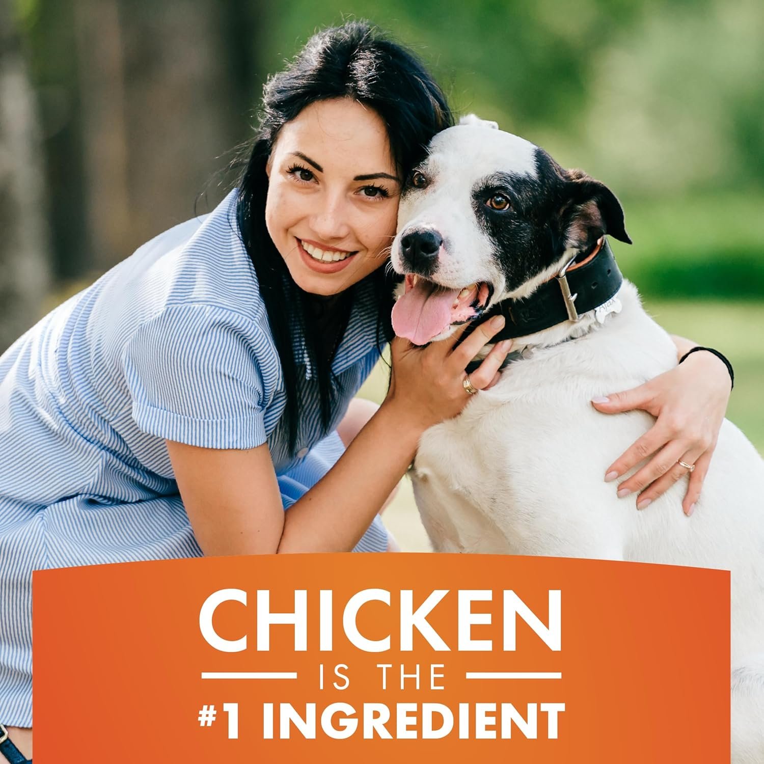 1727643049 732 Natural Chicken Jerky Dog Treats – 100 Real Chicken Breast