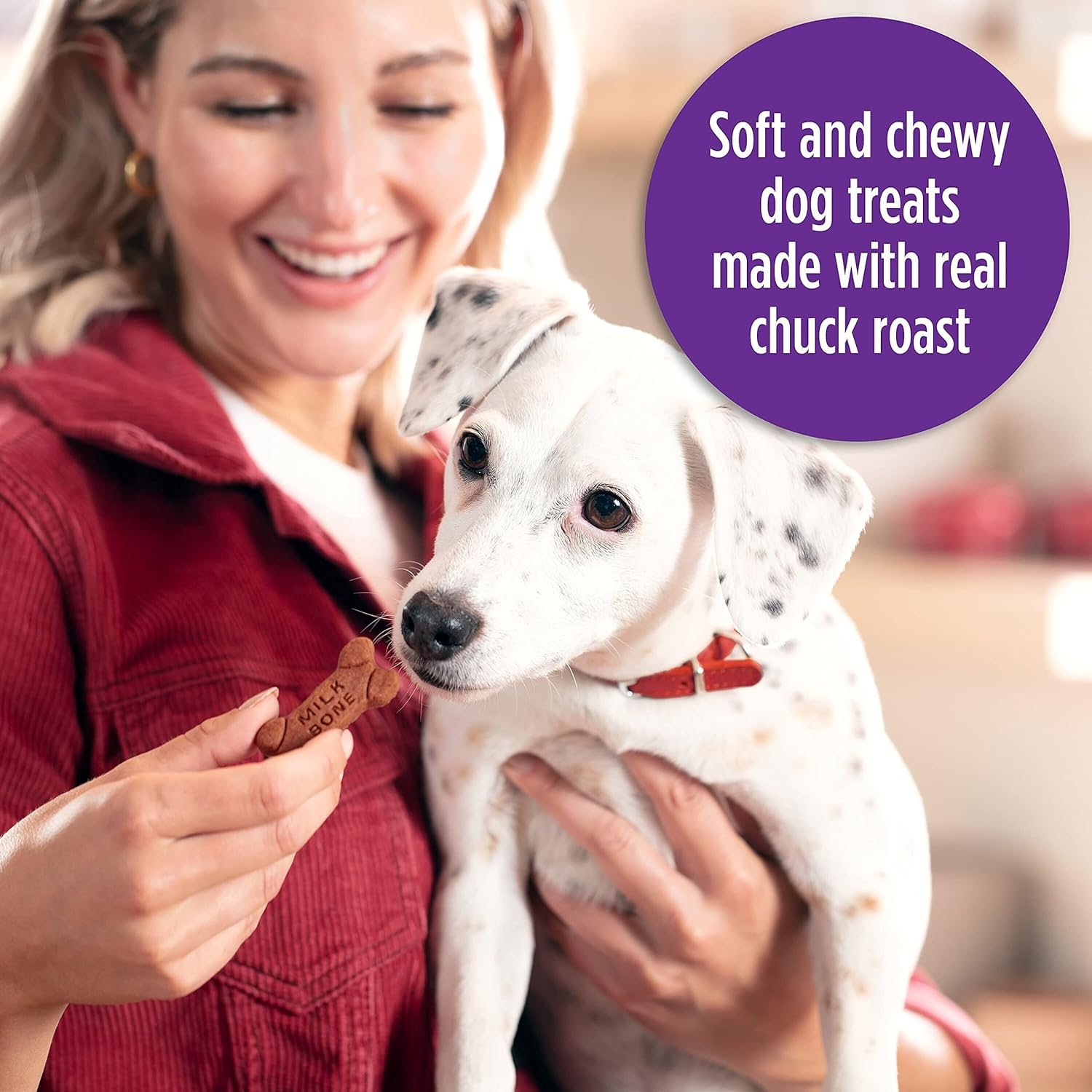 1727659916 4 Milk Bone Soft Chewy Dog Treats Beef Filet Mignon