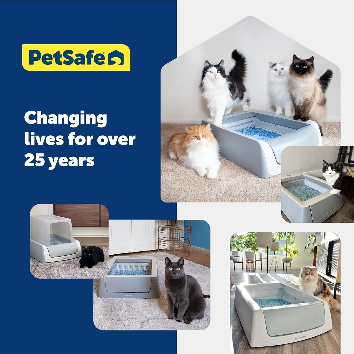 1727677878 301 PetSafe ScoopFree Premium Crystal Cat Litter Superior to Clay