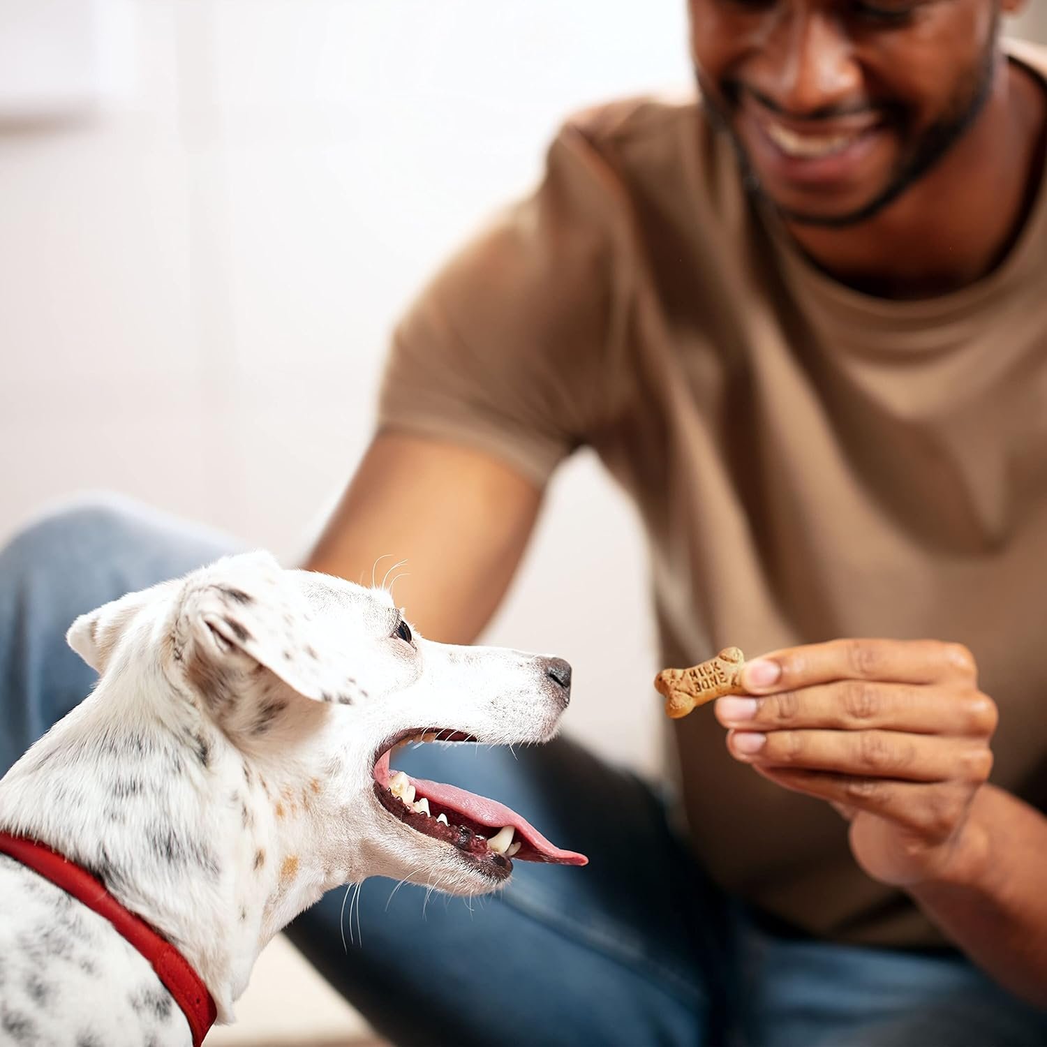 1727689199 735 Milk Bone Minis Flavor Snacks Dog Treats 36 oz Crunchy