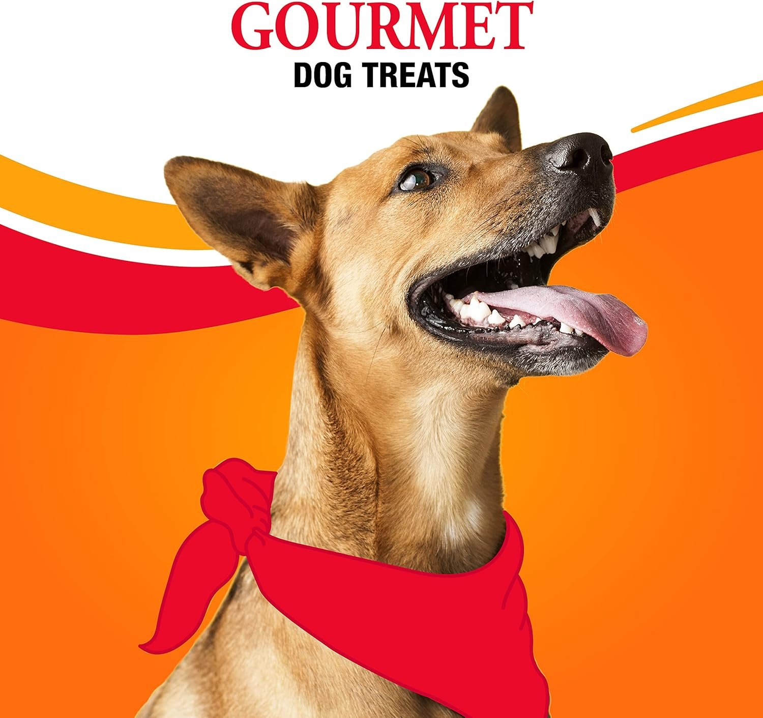 1727714971 898 GoodNFun Triple Flavor Rawhide Kabobs for Dogs 15 lbs Single