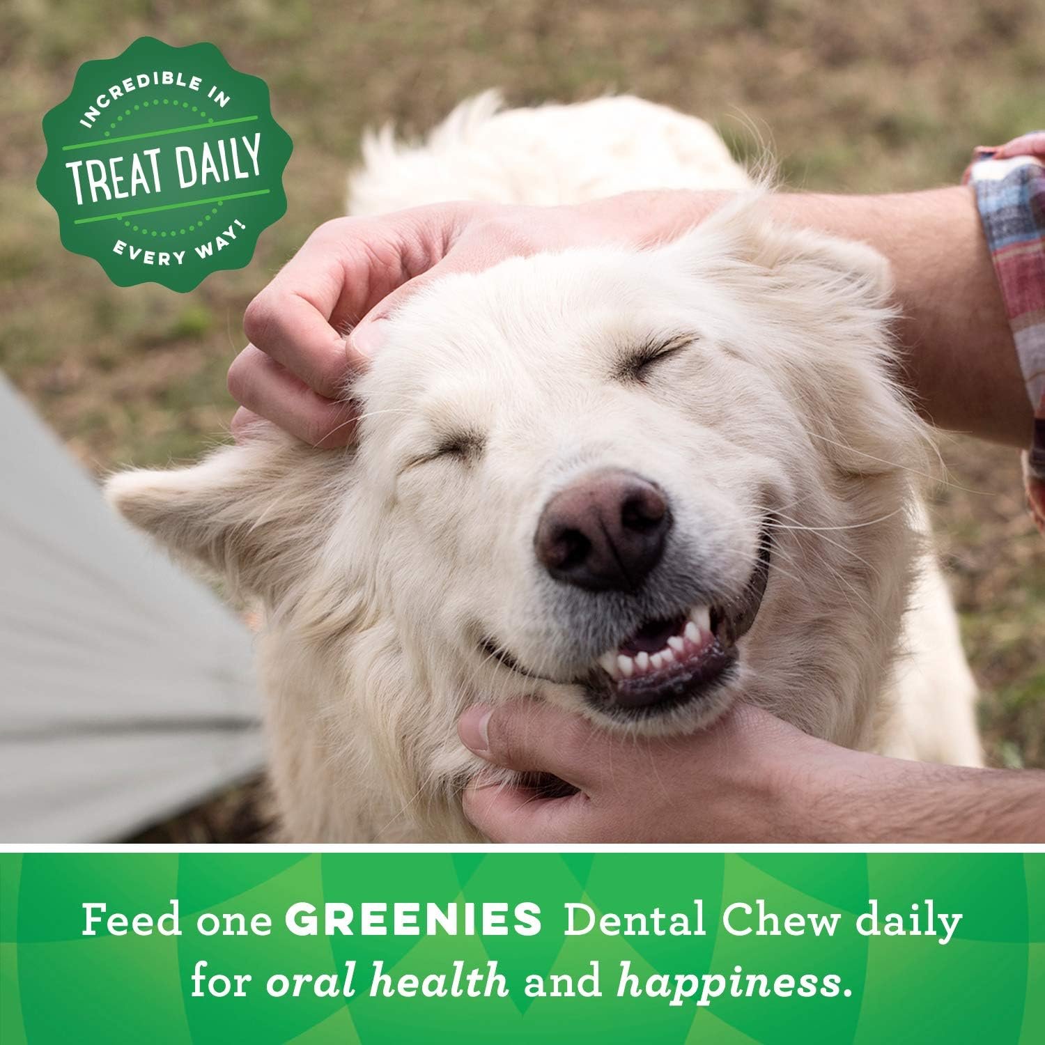 1727730812 438 Greenies Original Regular Natural Dog Dental Chews for Oral Health