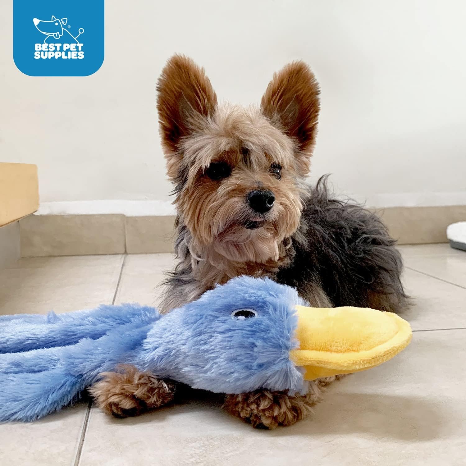 1727750673 355 Ultimate Crinkle Dog Toy Adorable No Stuffing Duck with Soft Squeaker