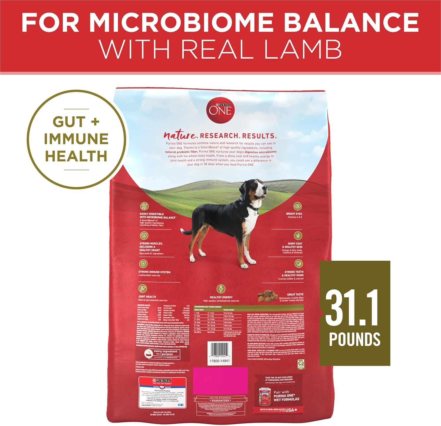 1727765801 280 Purina ONE Lamb and Rice Dry Dog Food 311