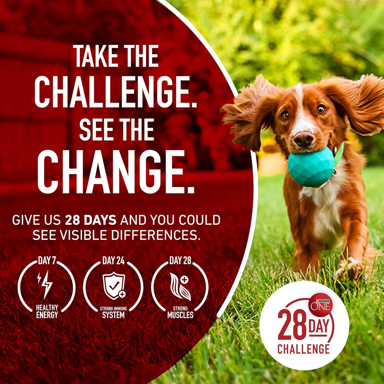 1727765801 439 Purina ONE Lamb and Rice Dry Dog Food 311