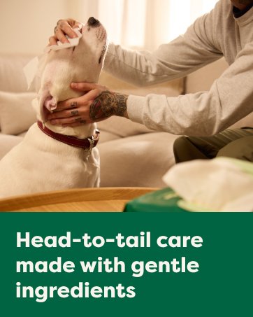 Head-to-tail care made with gentle ingredients