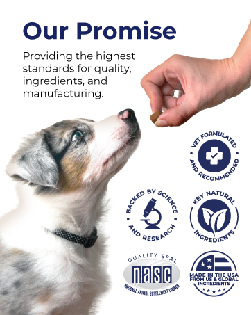 our promise