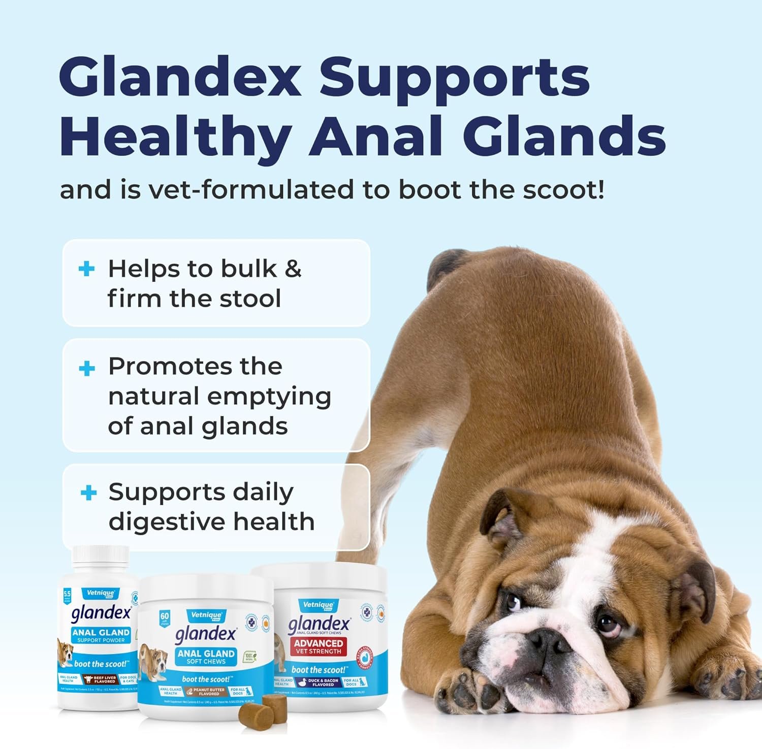 1727826740 170 Glandex Peanut Butter Chew Treats for Dogs – Pumpkin Based Digestive