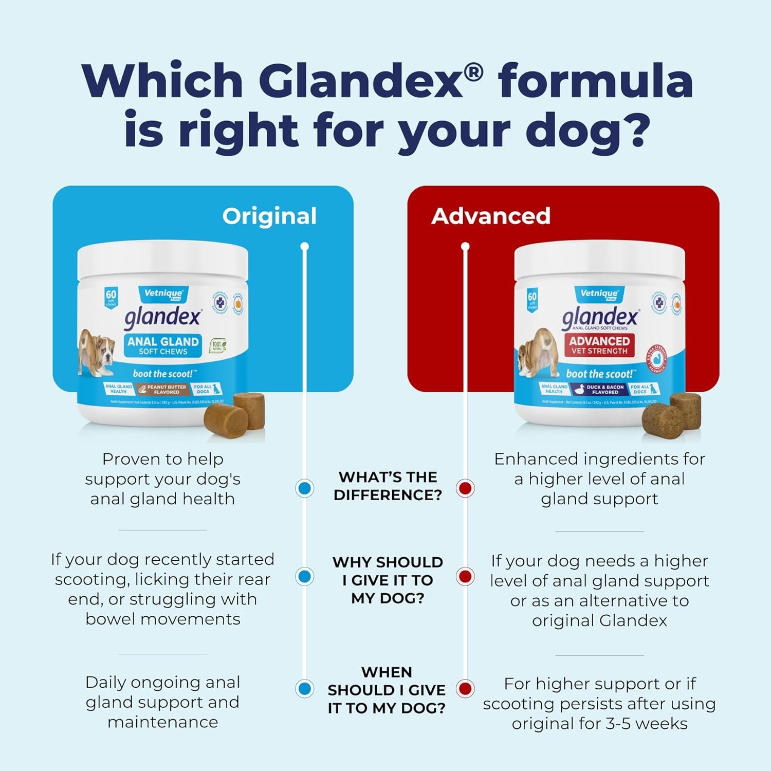 1727826740 191 Glandex Peanut Butter Chew Treats for Dogs – Pumpkin Based Digestive