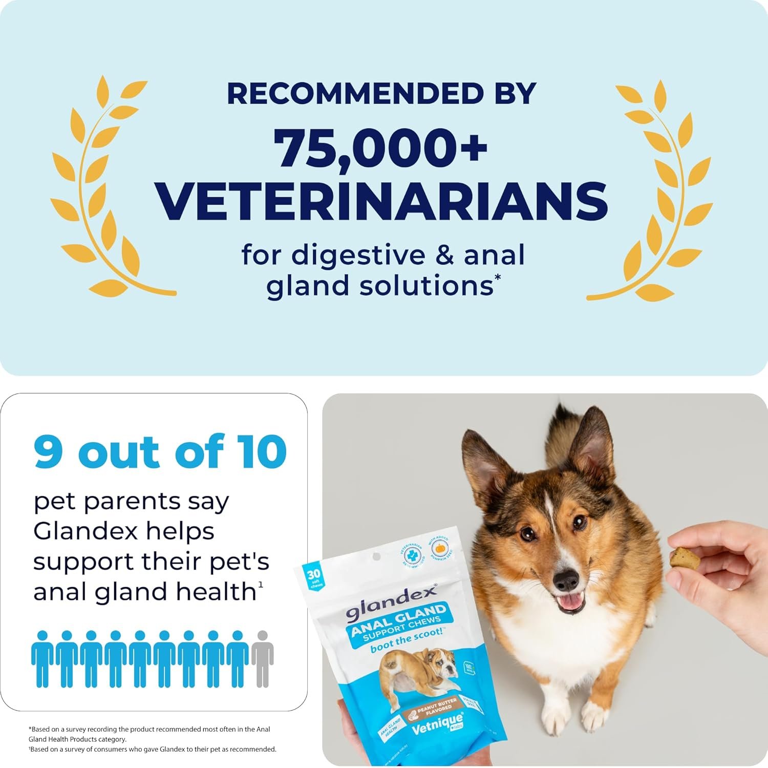 1727826740 710 Glandex Peanut Butter Chew Treats for Dogs – Pumpkin Based Digestive