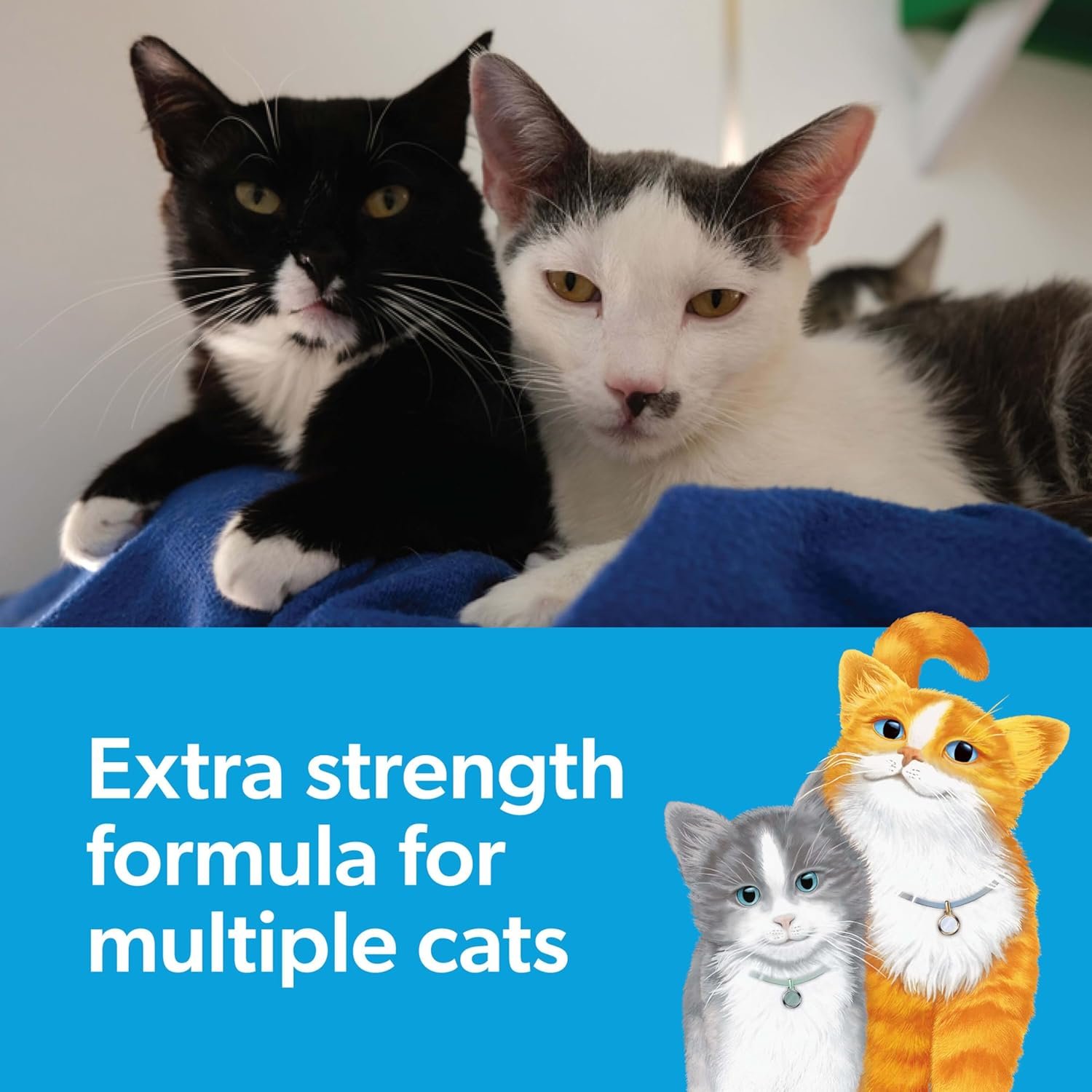 1728272599 915 Fresh Step Multi Cat Clumping Cat Litter with Odor Control 14