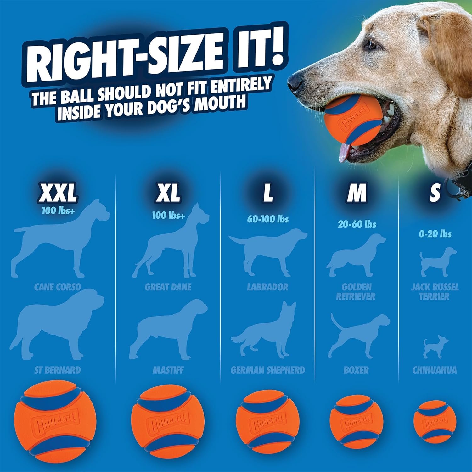 Chuckit Ultra Ball Dog Toy - Medium (2.5 Inch Diameter) - Pack of 2 for Dogs Weighing 20-60 lbs 5 1728310909 212 Chuckit Ultra Ball Dog Toy Medium 25 Inch Diameter