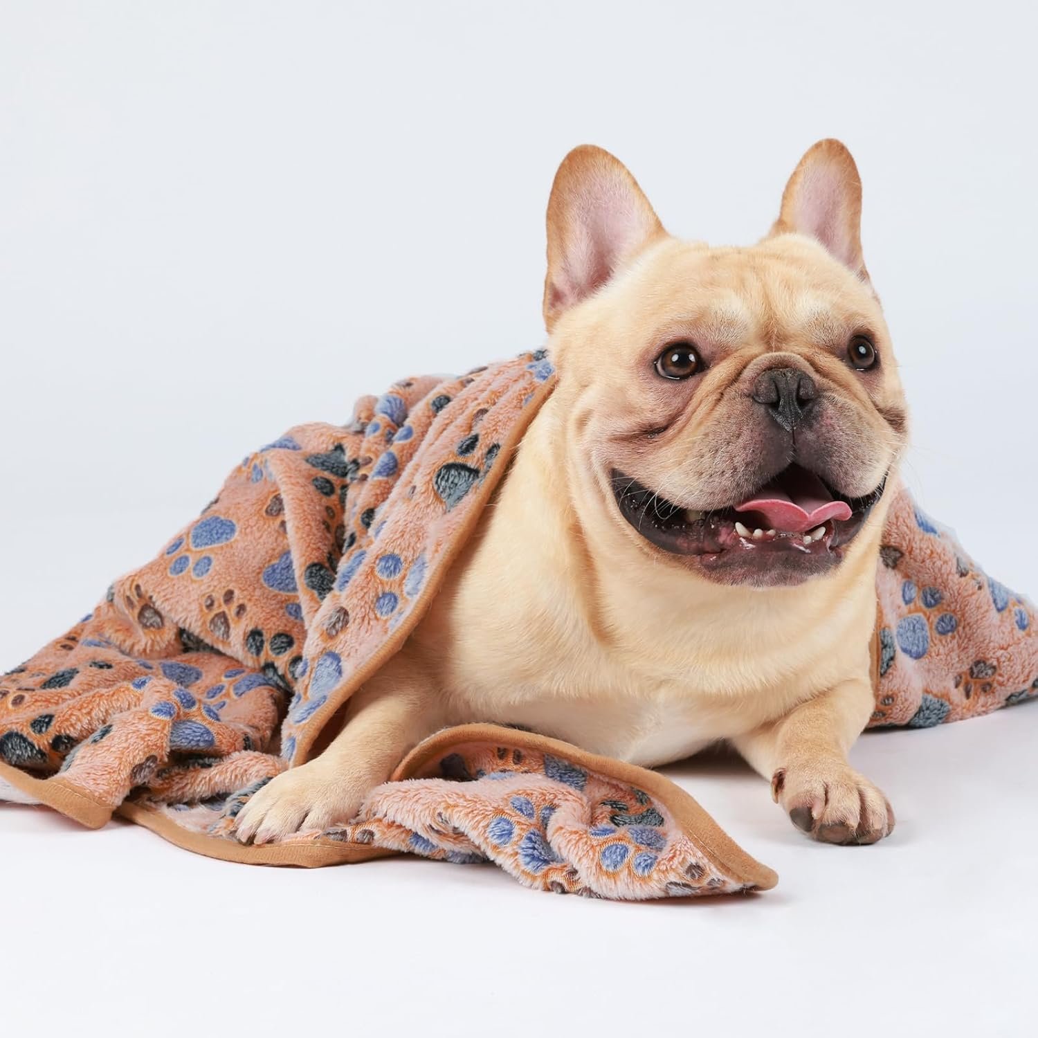 1729718156 614 1 Pack of Super Soft Fluffy Premium Fleece Pet Blankets