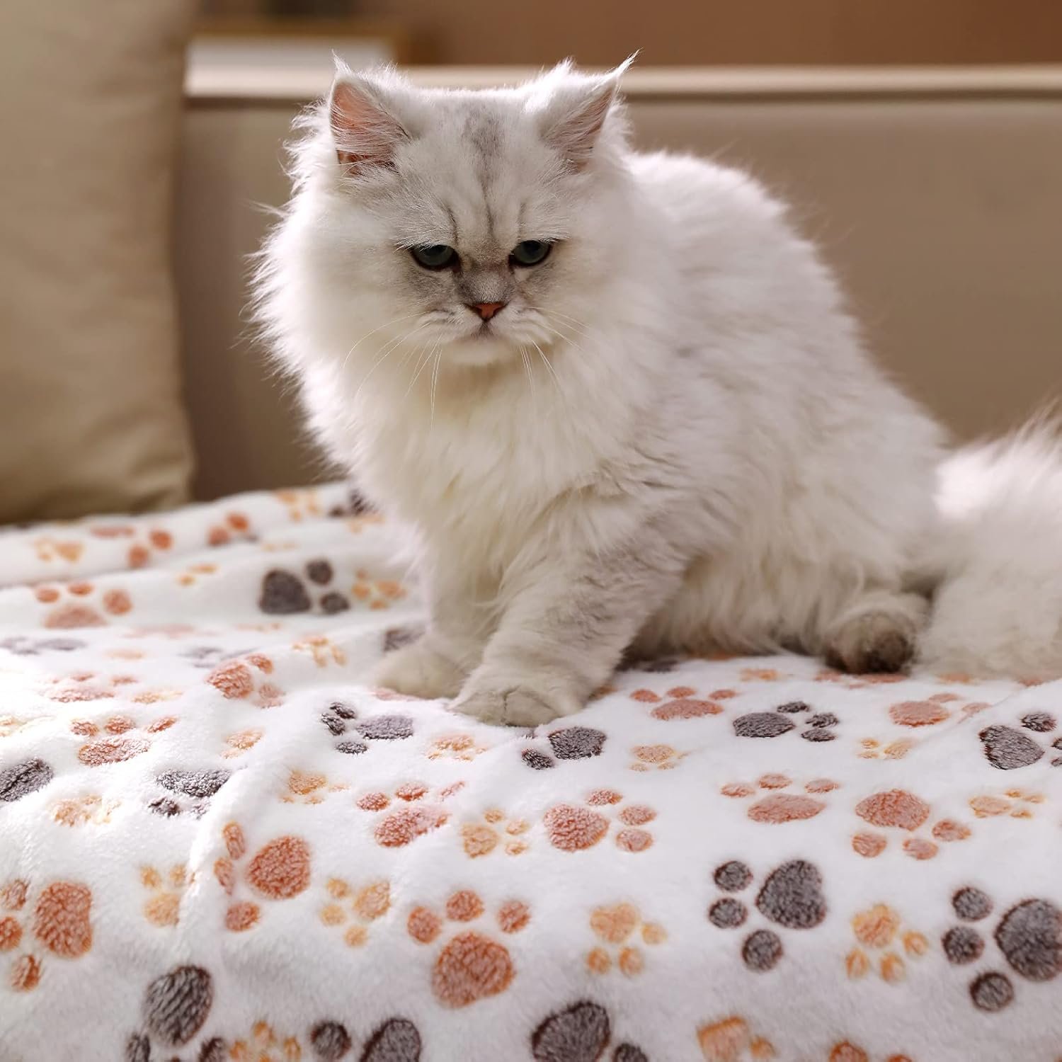 1729718156 647 1 Pack of Super Soft Fluffy Premium Fleece Pet Blankets