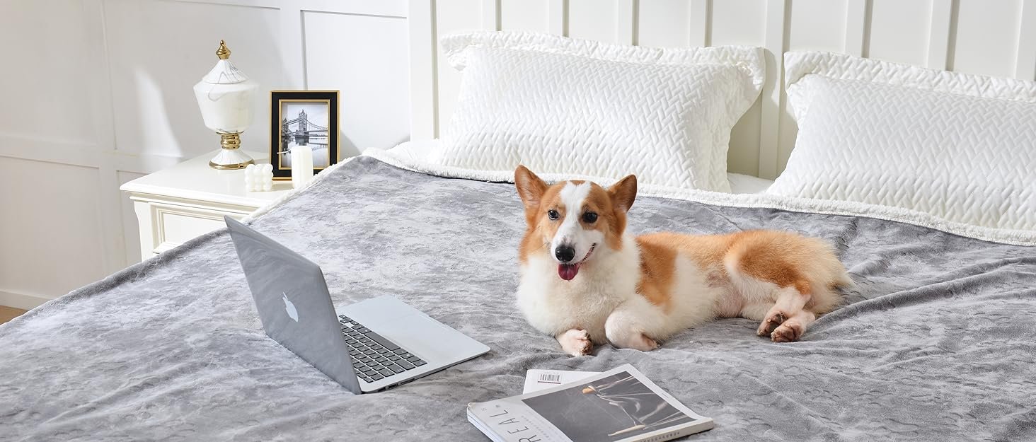 dog bed blanket