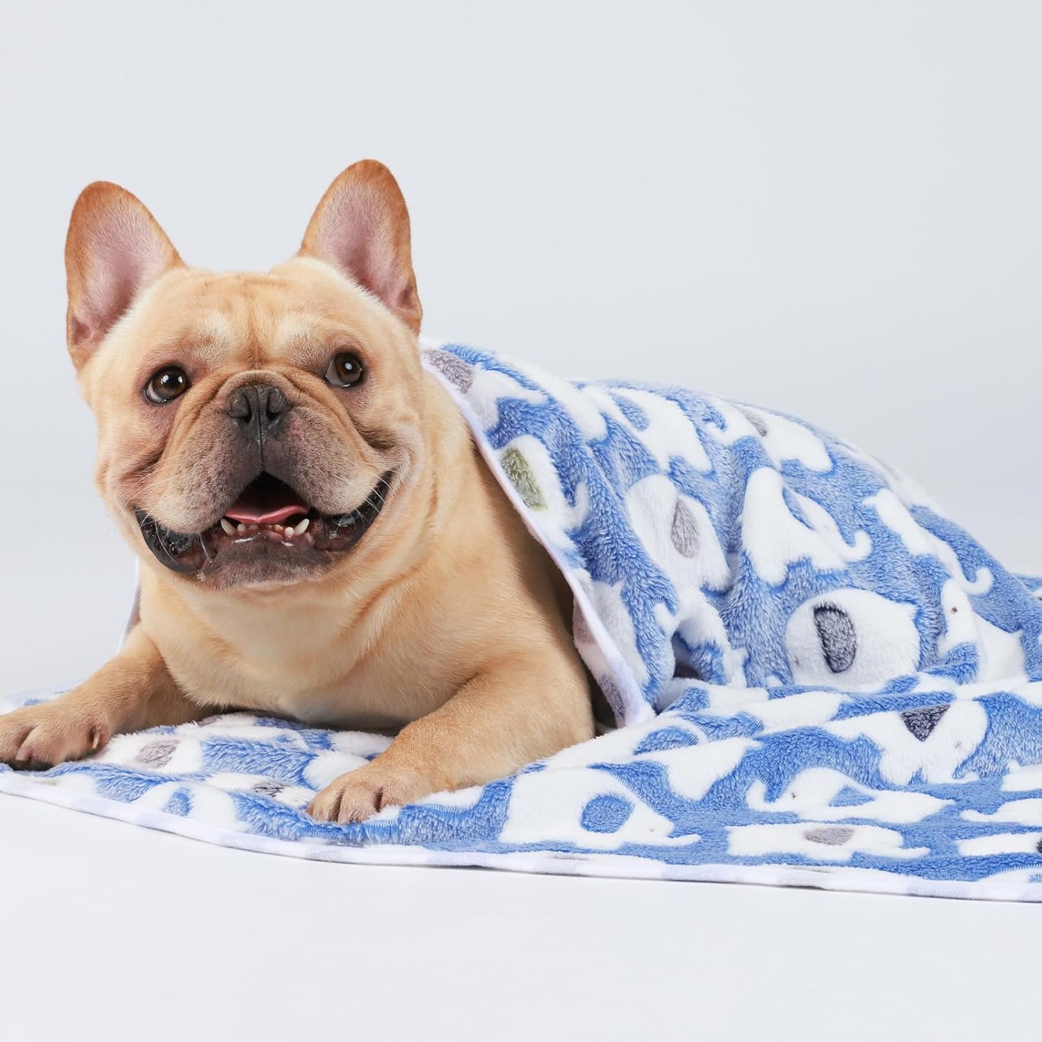 1729828124 561 3 Pack Super Soft Fluffy Pet Blankets with Cute Elephant Pattern