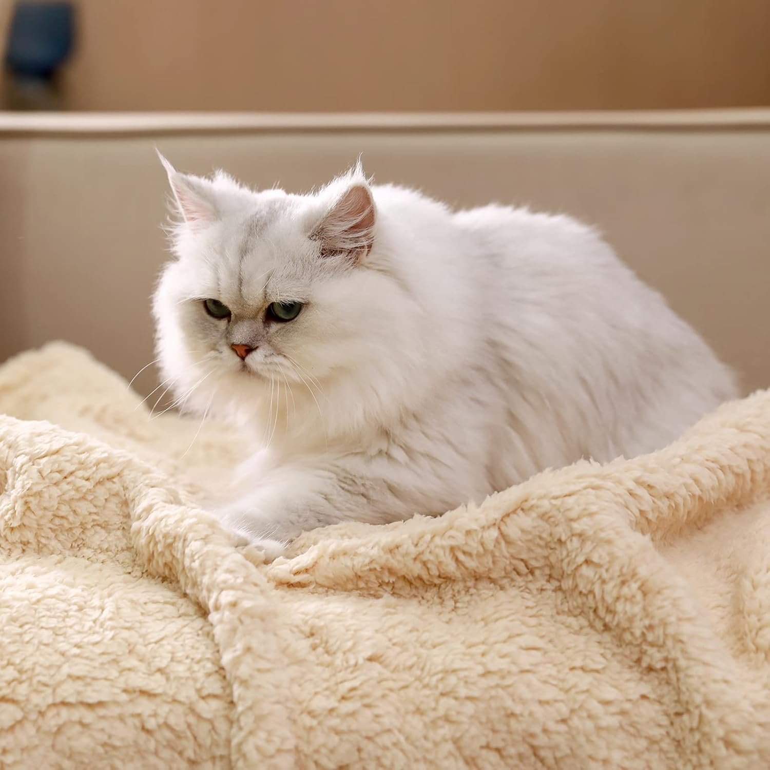 1729851620 120 Luciphia Sherpa Fleece Blanket for Dogs and Cats – Soft