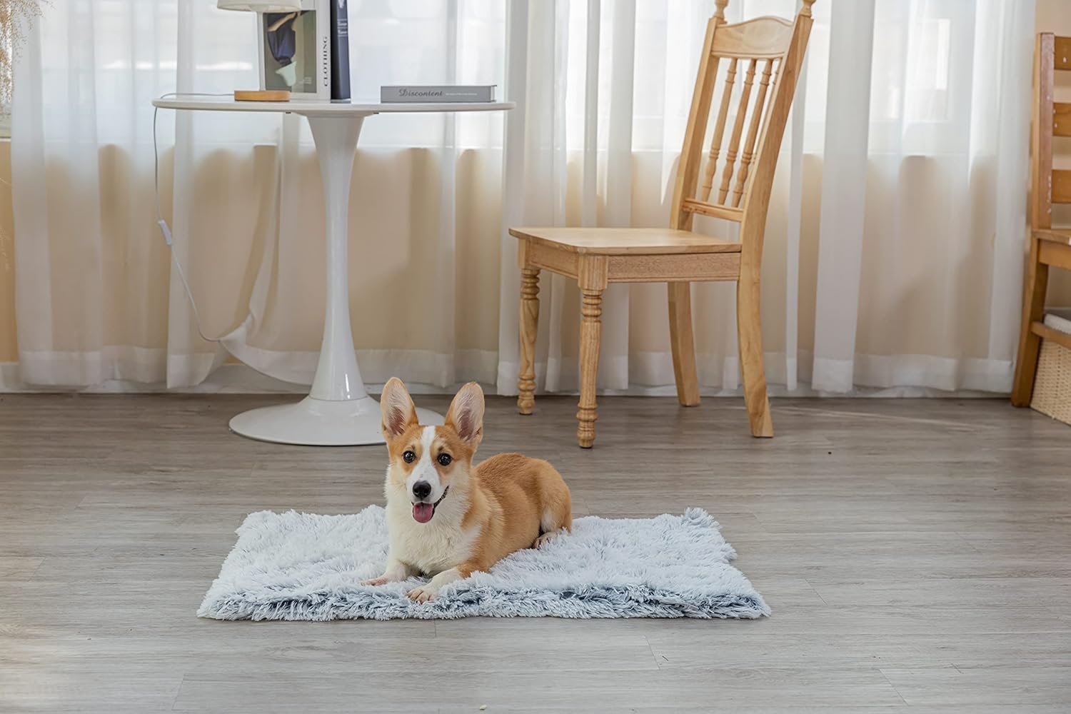 1729873528 857 PJYuCien Soft and Cozy Fleece Calming Pet Blanket Ideal