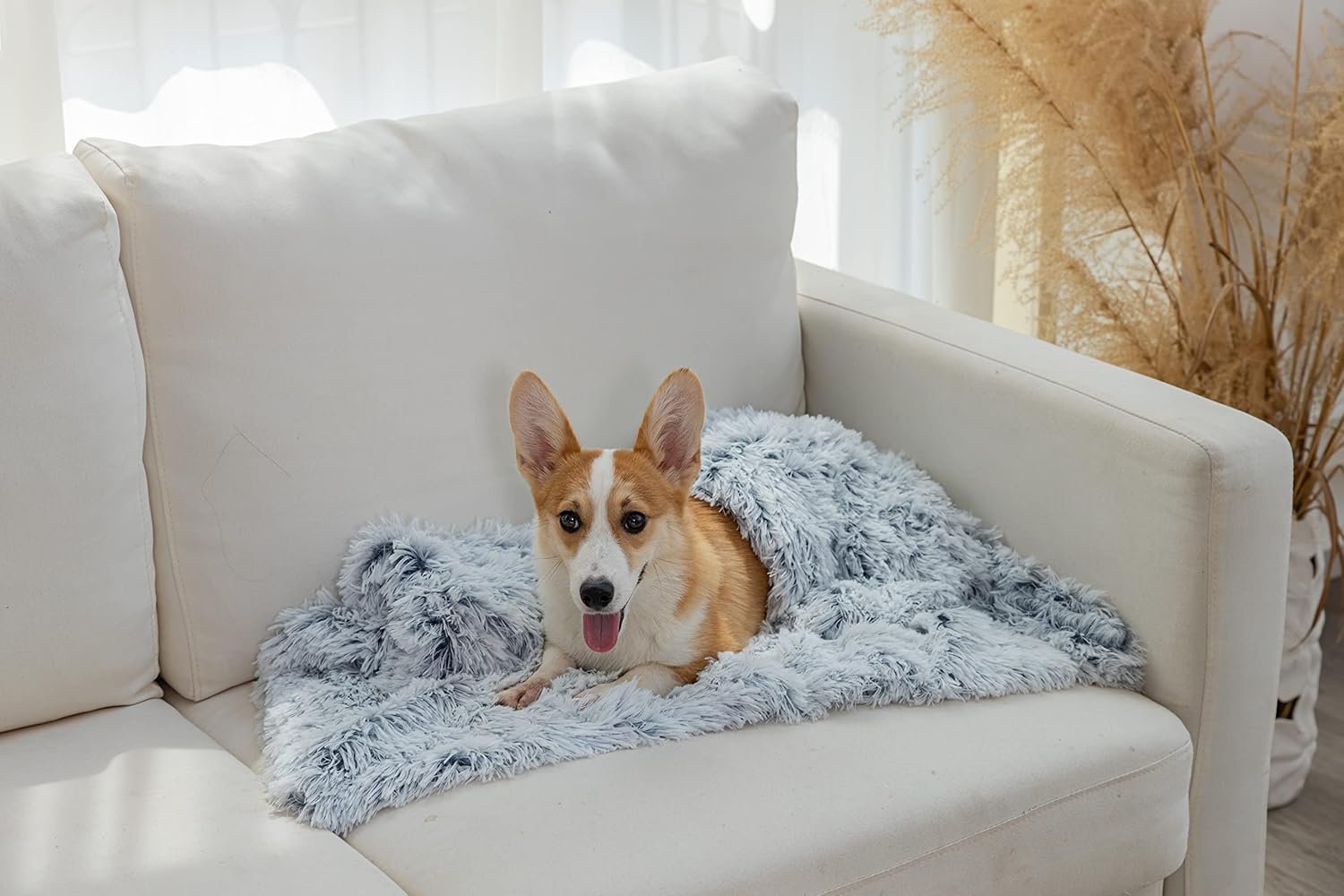 1729873528 897 PJYuCien Soft and Cozy Fleece Calming Pet Blanket Ideal