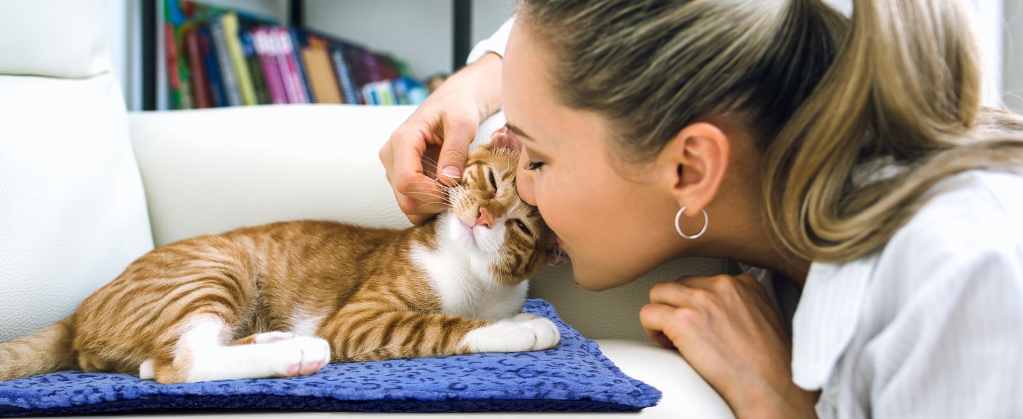 SELF HEATING CAT BED