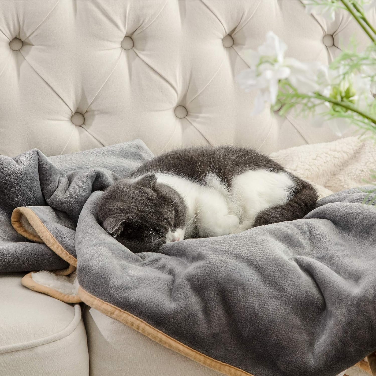 1729945643 876 Bedsure Waterproof Dog Blanket for Small Dogs and Cats