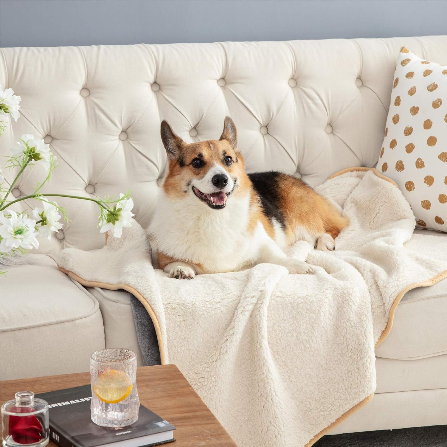 1729945643 925 Bedsure Waterproof Dog Blanket for Small Dogs and Cats