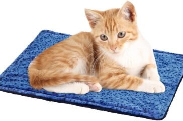 Cat Bed Blankets