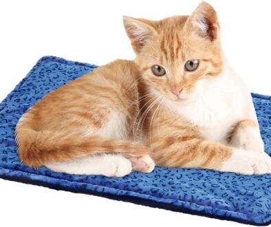 Cat Bed Blankets