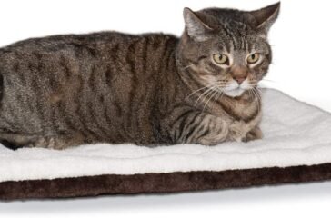 Cat Bed Blankets