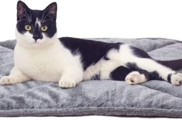 Cat Bed Blankets