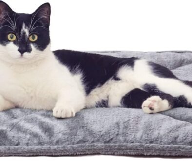 Cat Bed Blankets